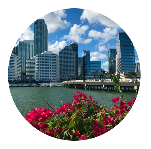 Circular-framed image of a city skyline viewed across a body of water, foregrounded by vibrant pink flowers under a clear blue sky.